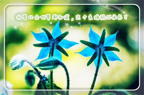 全本潇潇暮雨洒江天：+后续+结局+番外（纪霆琛顾青离）最新章节列表_全本潇潇暮雨洒江天：+后续+结局+番外宝藏文（纪霆琛顾青离）全本潇潇暮雨洒江天：+后续+结局+番外在线阅读