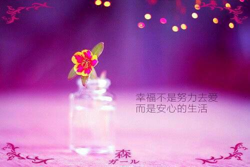 我真的陪他淋过大雨姜青黎：结局+番外（姜青黎靳寒夜尤念笙）全文免费阅读无弹窗大结局_姜青黎靳寒夜尤念笙最新章节列表（我真的陪他淋过大雨姜青黎：结局+番外）