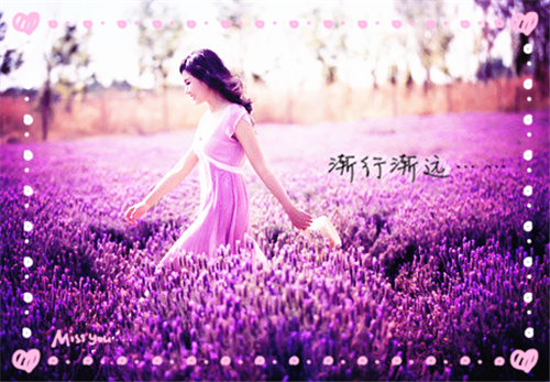 盛景太匆匆：全面完结（宁若曦沈砚舟）全文免费阅读_盛景太匆匆：全面完结（宁若曦沈砚舟）最新章节列表盛景太匆匆：全面完结