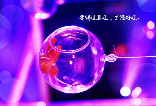 季悠悠的小说季悠悠霍长临在线霍长临季悠悠完结版阅读