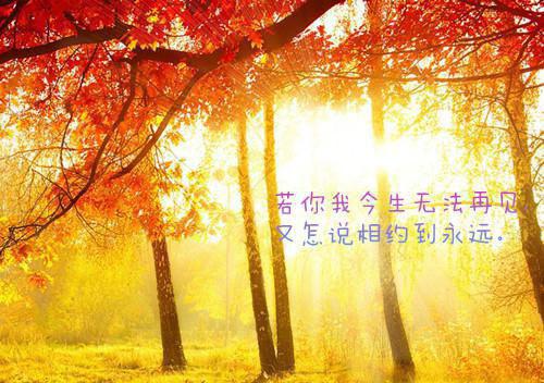 火辣名字全文免费阅读（火辣名字小说）全文在线庄沁庄芩读无弹窗大结局_（庄沁庄芩全文在线庄沁庄芩读无弹窗）火辣名字小说最新章节列表（庄沁庄芩）