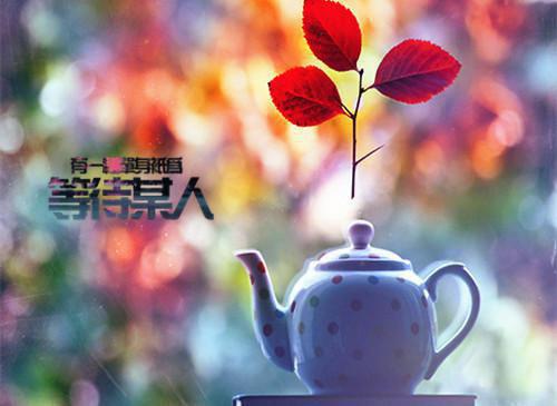 林皎皎傅锦瀚免费阅读无弹窗大结局_（温柔的挽歌）林皎皎傅锦瀚最新章节列表（温柔的挽歌）