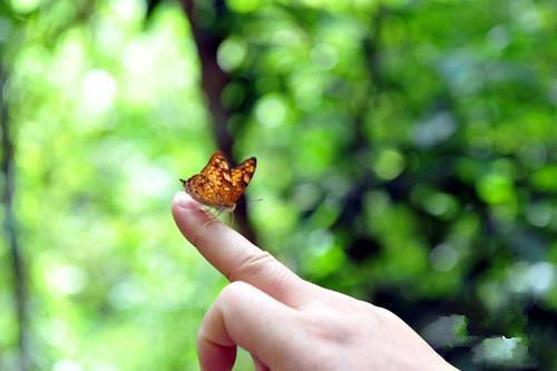 重生后，我为渣男渣女定制结局热门小说（李若歌邓观南）免费试读
