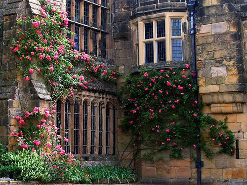 (番外)+(完结)良时终如云散:+后续+番外(赵忍冬孟寻洲)全文免费阅读无弹窗大结局_(良时终如云散:+后续+番外)最新章节列表(赵忍冬孟寻洲)