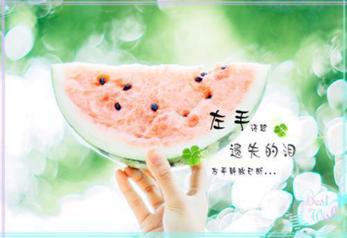 江晚舟全文免费阅读（南方小土豆?当年我们叫北伐铁军小说）全文在线江晚舟读无弹窗大结局_（南方小土豆?当年我们叫北伐铁军小说江晚舟）南方小土豆?当年我们叫北伐铁军小说最新章节列表（江晚舟）