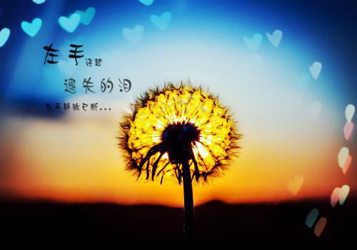 傅瑾怀纪黛宁大结局：结局+番外（纪黛宁傅瑾怀）全文免费阅读无弹窗大结局_（纪黛宁傅瑾怀）傅瑾怀纪黛宁大结局：结局+番外最新章节列表（纪黛宁傅瑾怀）