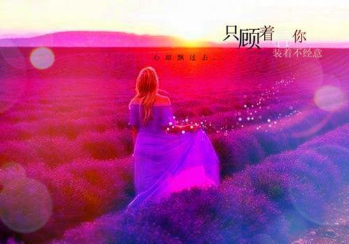 (番外)+(全文)此生不负君：全文+后续(林慈逸祝欢熙)小说最新列表_此生不负君(林慈逸祝欢熙)全文阅读无弹窗此生不负君：全文+后续