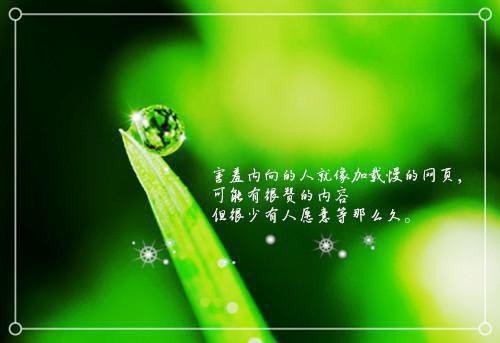 姜雅程沛琛「免费小说」姜雅程沛琛大结局阅读