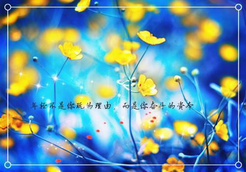 颜梓陆嘉言颜梓陆嘉言全文小说免费阅读