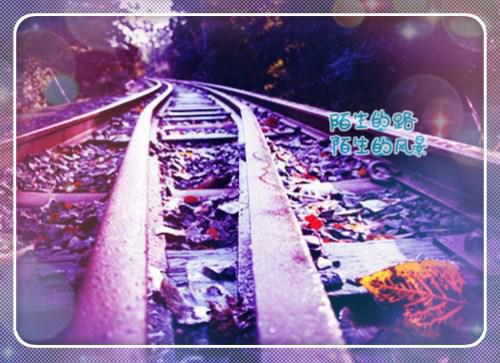 《一世宏图》全篇免费阅读第九章钱惠珍