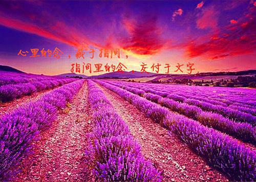 (番外)+(全文)颜柯程司宥（你如流星掠长夜：+后续+结局）完结阅读无弹窗大结局_(颜柯程司宥)最新章节列表（你如流星掠长夜：+后续+结局）