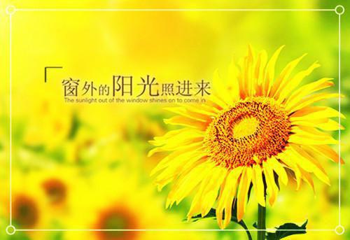 林晚晚郑东是林晚晚郑东的小说 《我和瘫痪婆婆双双重生后小说》完整章节林晚晚郑东读