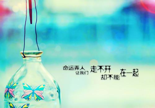 过期白月光：结局+番外（童希傅晏寻）全文免费过期白月光：结局+番外无弹窗大结局_(过期白月光：结局+番外童希傅晏寻免费阅读