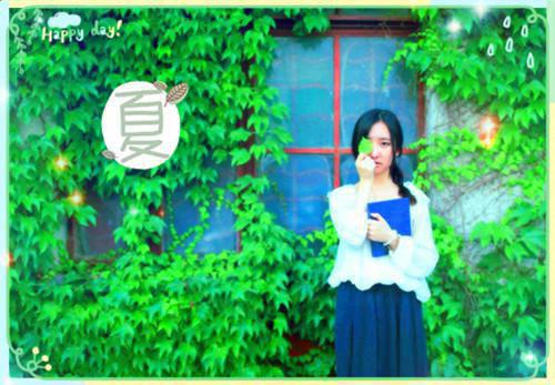都市小说魏成风陆思湉知乎章节目录阅读