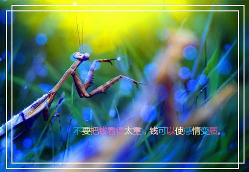 林沐王子辰全文免费阅读（当了闺蜜儿子的干妈后小说）全文免费林沐王子辰读无弹窗大结局_林沐王子辰全文免费林沐王子辰读（当了闺蜜儿子的干妈后小说）最新章节列表（林沐王子辰）