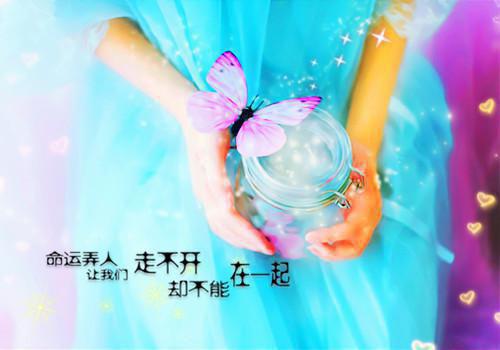 【热门】沈棠绾谢知野余茵茵（未见青山老：全文+结局+番外）完整版免费阅读无弹窗_沈棠绾谢知野余茵茵最新章节列表（未见青山老：全文+结局+番外）