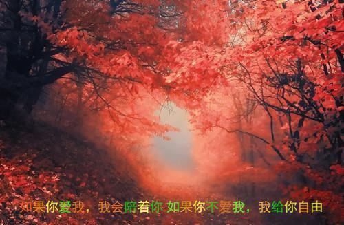 春风戏语沈赫陈好全文在线沈赫陈好读无弹窗大结局_（沈赫陈好春风戏语）沈赫陈好最新章节列表（沈赫陈好）
