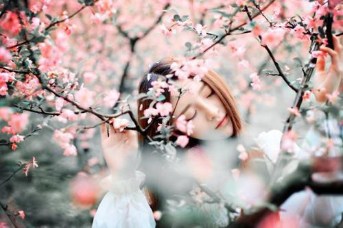 热门小说青春谋心张妈齐晁傅薄砚全文免费阅读