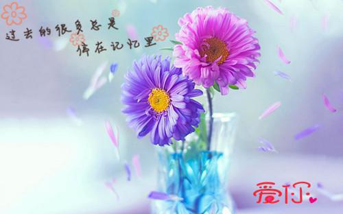 (番外)+(全文)余生即便不是你：结局+番外小说免费下载阅读_(姜熙妍陆知年)余生即便不是你：结局+番外最新章节列表（姜熙妍陆知年）