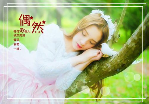 九块九：全文+后续（陆成远兰老师）全文免费阅读无弹窗大结局_（陆成远兰老师）九块九：全文+后续最新章节列表（陆成远兰老师）
