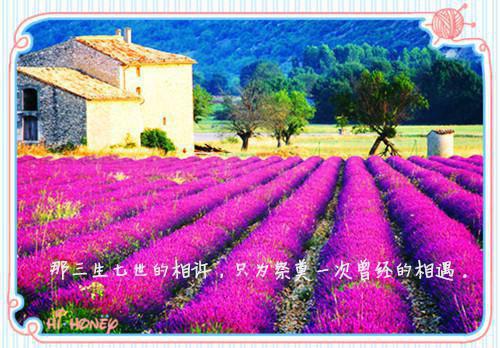 瑞芸(奇葩规矩)全文免费瑞芸读无弹窗大结局_(瑞芸免费瑞芸读全文大结局)最新章节列表（瑞芸）