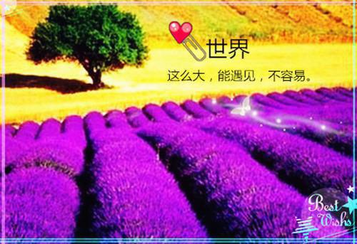 (番外)+(全文)大年初一，婆婆带着小姑子偷走我的嫁妆爬上我爸的床：番外+后续+全文阅读_(邱嘉易言言)邱嘉易言言最新章节列表（大年初一，婆婆带着小姑子偷走我的嫁妆爬上我爸的床：番外+后续+全文）