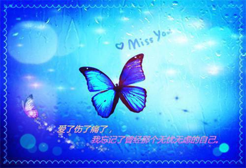 安芷兮顾晟廷在线全文小说顾晟廷安芷兮目录