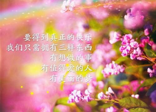 完结版小说水韵陶沈离全文免费阅读
