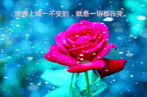 果冻粉条的小说中医：坐诊校医，患者都是大明星苏正南刘一菲完结版阅读