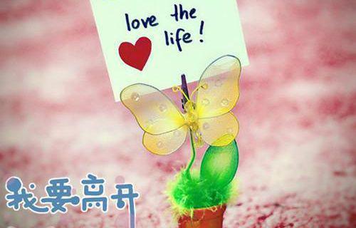 陆明远沈寂柳若芷（涅槃毒妃：佛子还俗我送葬）全文免费阅读_(涅槃毒妃：佛子还俗我送葬)陆明远沈寂柳若芷最新章节列表（涅槃毒妃：佛子还俗我送葬）