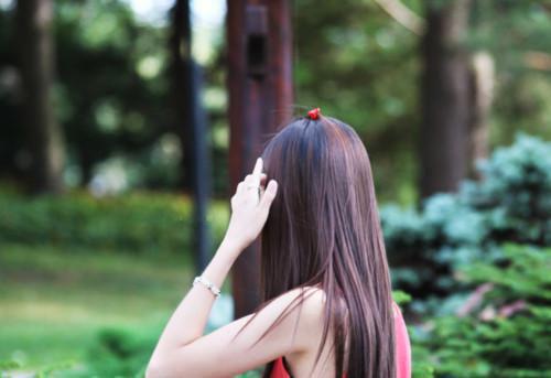 与丁克老公结婚十年后林毅清张诺免费阅读全文无删减版