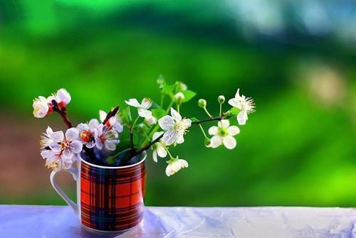 (番外)+(全文)老婆如愿去见竹马，却哭着求我去救她：全文+后续小说免费下载阅读_(梁静钰张宏鑫)老婆如愿去见竹马，却哭着求我去救她：全文+后续最新章节列表（梁静钰张宏鑫）