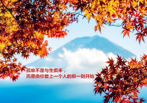 不见神佛不见君：全文+后续+结局全章节+无弹窗（崔言昭裴懿安）全文免费阅读大结局_不见神佛不见君：全文+后续+结局最新后续