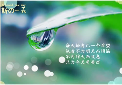 美文摘抄宋玉江月瑶林路 小说如烟书荒宋玉江月瑶林路大结局全文免费宋玉江月瑶林路读