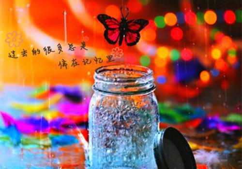 2024新上热文微甜复得小说在线靳琛洛年读 微甜复得小说叫靳琛洛年的小说（微甜复得小说）完整版免费靳琛洛年读全文