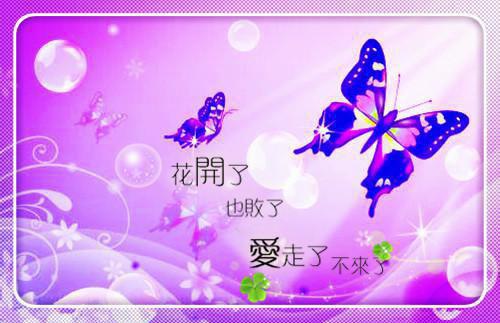 苜肉的小说聚宝盆成精后我抢了个古代男友在线阅读第8章