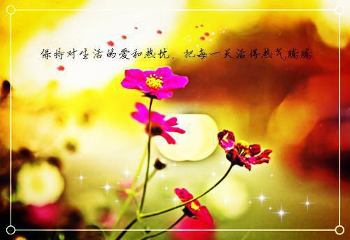 红月小镇全文免费阅读（亚娜）小说全文免费阅读无弹窗_（红月小镇）小说全文免费阅读最新章节列表（亚娜）