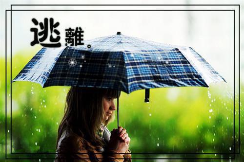 (热推新书)《陈岚悦张远锦楚瑾》被绑架后我爱上了绑匪头子小说 抖音热推被绑架后我爱上了绑匪头子小说无弹窗陈岚悦张远锦楚瑾读