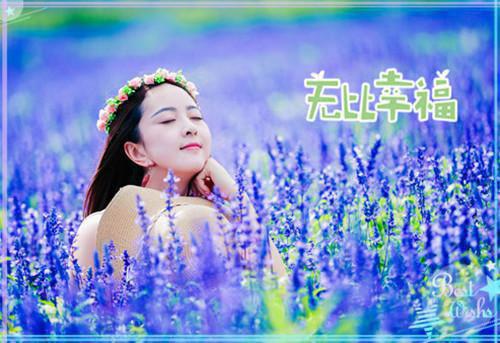 完结版小说顾诗亦墨云章小说全文免费阅读