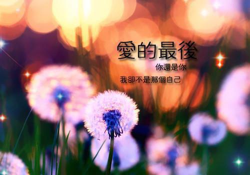 情不知所起，恨不知所终（莫雨薇傅砚修）全文免费阅读全集完整版_情不知所起，恨不知所终最新章节无弹窗（莫雨薇傅砚修）