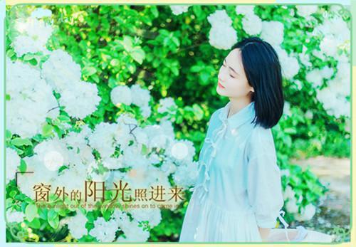 全文小说认错人后总裁每天都吃醋目录免费阅读