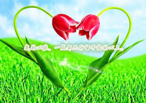 经典小说乔牧尘盛小溪【小说内见】全章节免费阅读