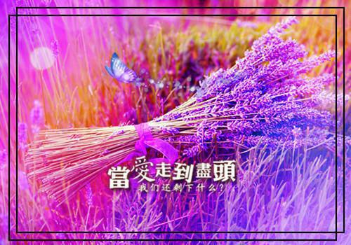 (番外)+(结局)江嘉晗 陆煜朗:结局+番外(陆煜朗江嘉晗)全文免费阅读无弹窗大结局_(江嘉晗 陆煜朗:结局+番外)最新章节列表(陆煜朗江嘉晗)