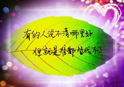 《评价五颗星精彩      大唐双龙我杀敌证道》楚黎楚阳小说全文完整版阅读