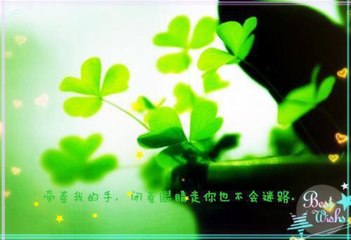 《逆袭快穿：反派Boss超疼的》晚七七小说在线阅读全部章节