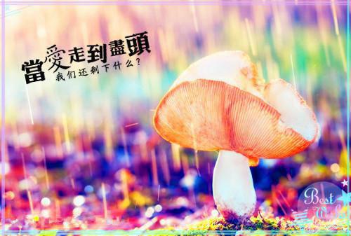 蚊子没翅膀的小说《硬钢诡异》免费在线阅读网站