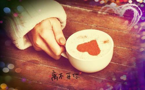 陆晟温栀栀赏析小说完整版资源免费试读