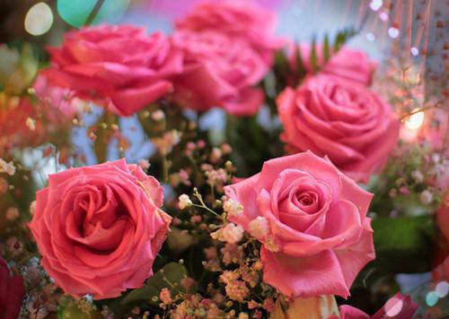 妈妈，我死了就不是废物了：全章+结局（黎晗）全文免费阅读_妈妈，我死了就不是废物了：全章+结局最新章节小说免费阅读妈妈，我死了就不是废物了：全章+结局