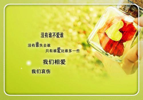 宋知许林晚照（宋知许林晚照：全文+后续）完结阅读无弹窗大结局_(宋知许林晚照)最新章节列表（宋知许林晚照：全文+后续）