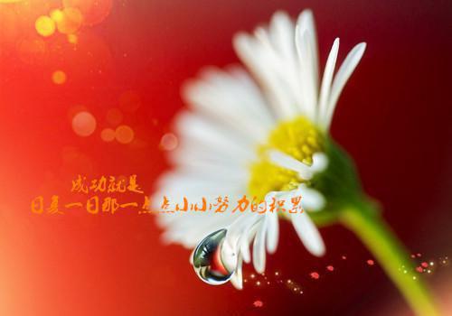 贺笙靳闻洲:结局+番外（贺笙靳闻洲:结局+番外）全文免费阅读无弹窗大结局_贺笙靳闻洲:结局+番外（贺笙靳闻洲）最新章节列表（贺笙靳闻洲）